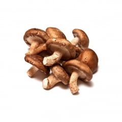 Cogumelo Shiitake